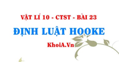 Định luật Húc (HOOKE) là gì? Biểu thức công thức tính định luật Húc (HOOKE) và ví dụ - Vật lí 10 bài 23